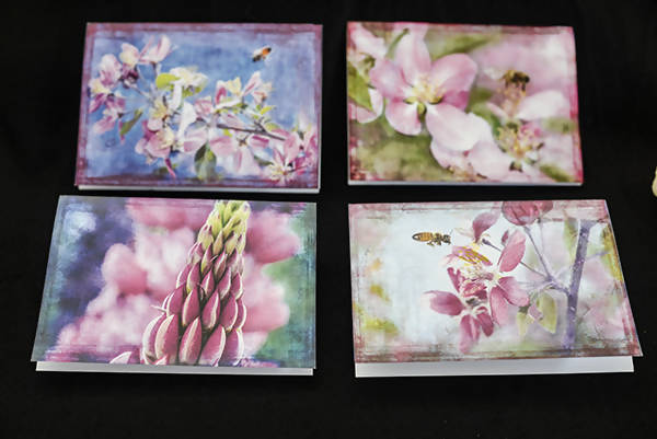 various Art Cards, 5.25 x 5.25